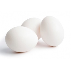 Layer White Eggs
