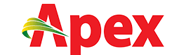 Apex